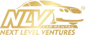 Next Level Venture Logo